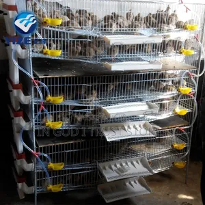 5 Tiers 360 Quail Cage With Feeder Drinker Manure