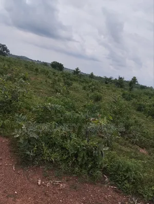 400 Acres of Farmland Available at Adekola, Ado Awaye, Iseyin Lg