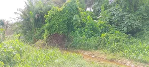 Attention Estate Developers Investors: 3 Plots Land Deals in Ikorodu