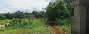 Attention Estate Developers Investors: 3 Plots Land Deals in Ikorodu