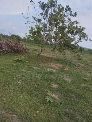 3000 Acres of Fertile Farmland Available at Olodo Anigbado, Abeokuta