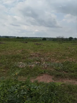 2000 Acres of Fertile Farmland Available at Olodo Anigbado, Abeokuta