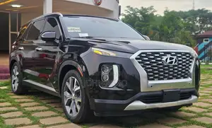 Hyundai Palisade 2020 Black