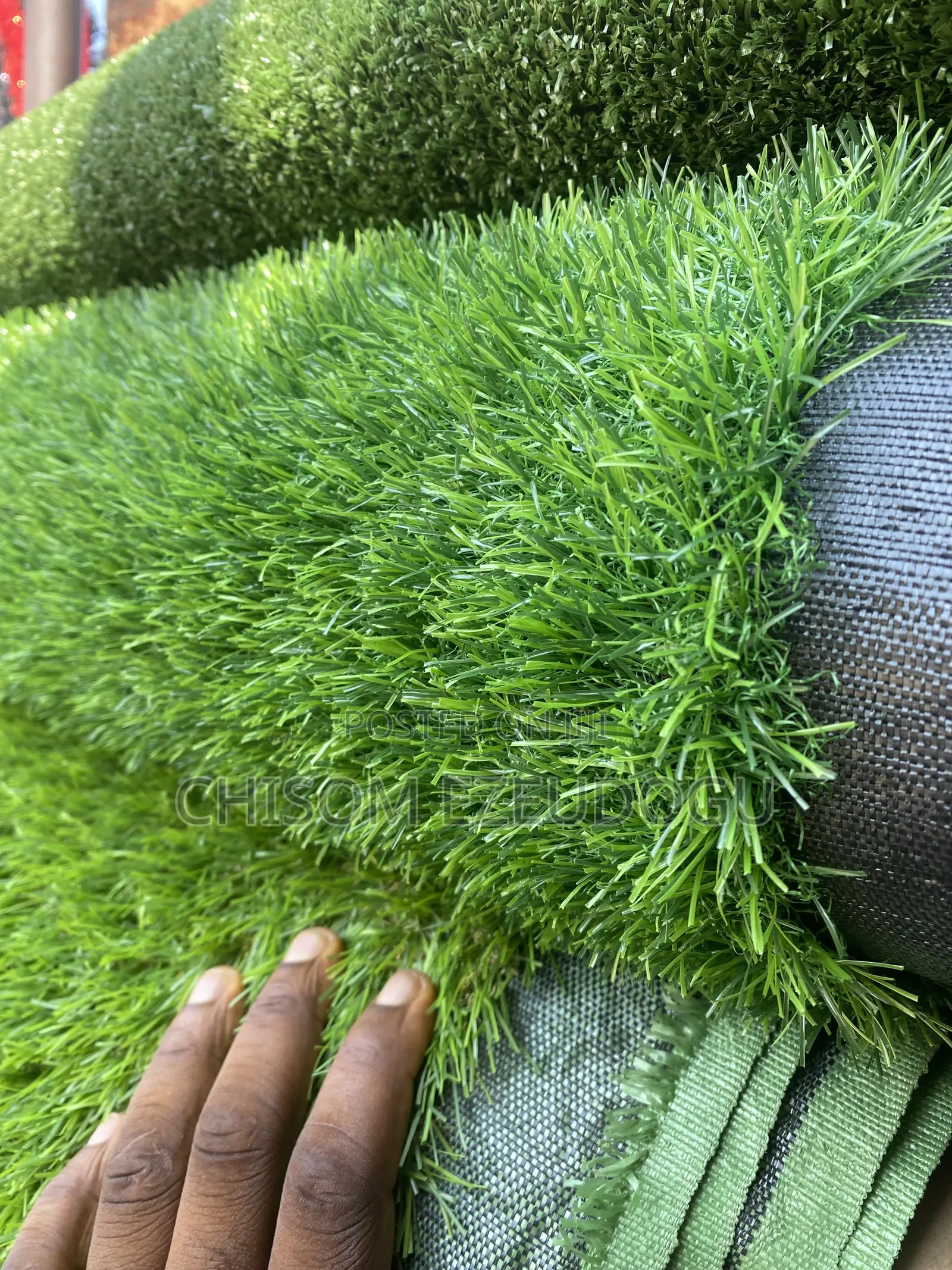 Artificial Grass