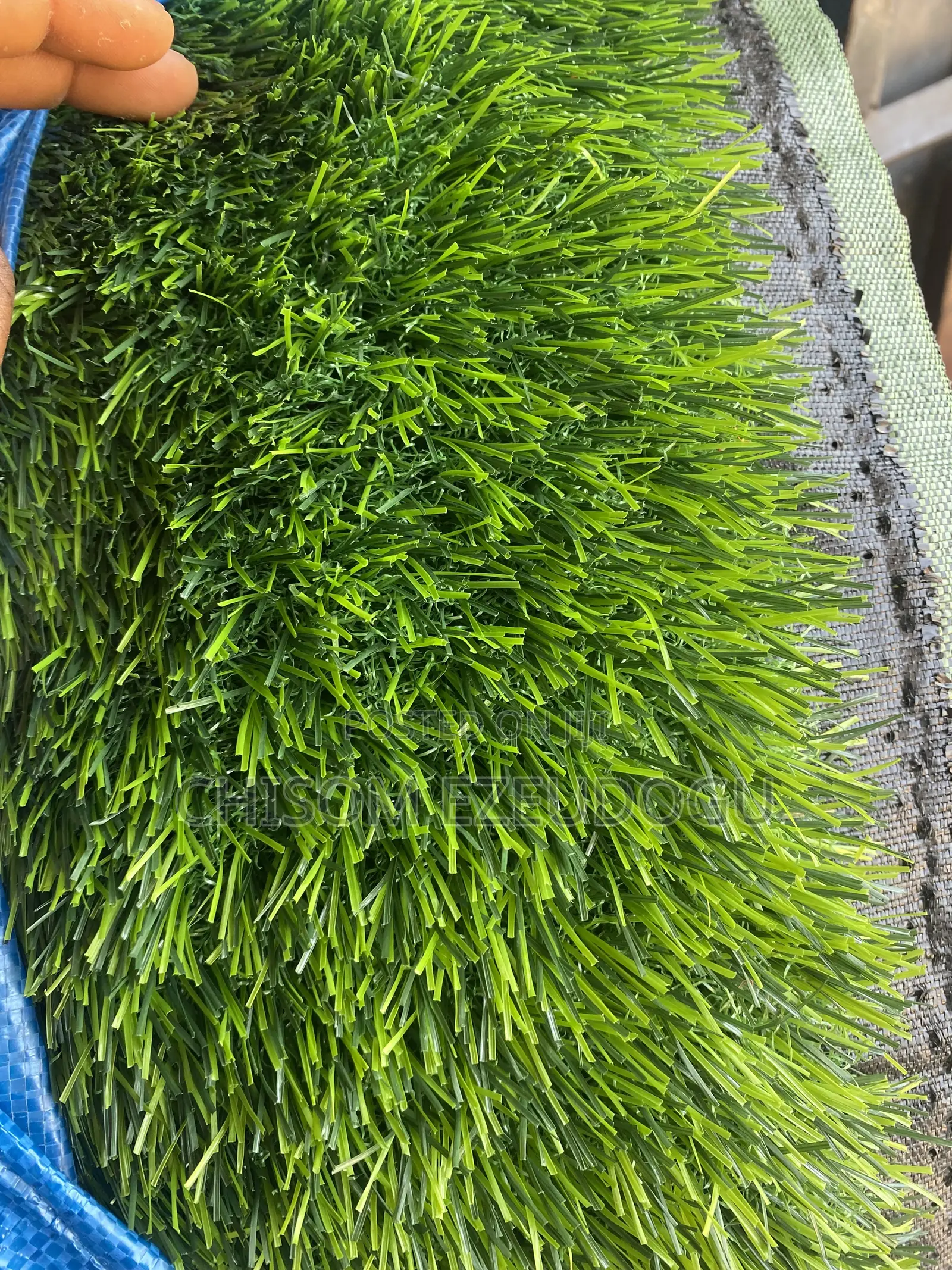 Artificial Grass