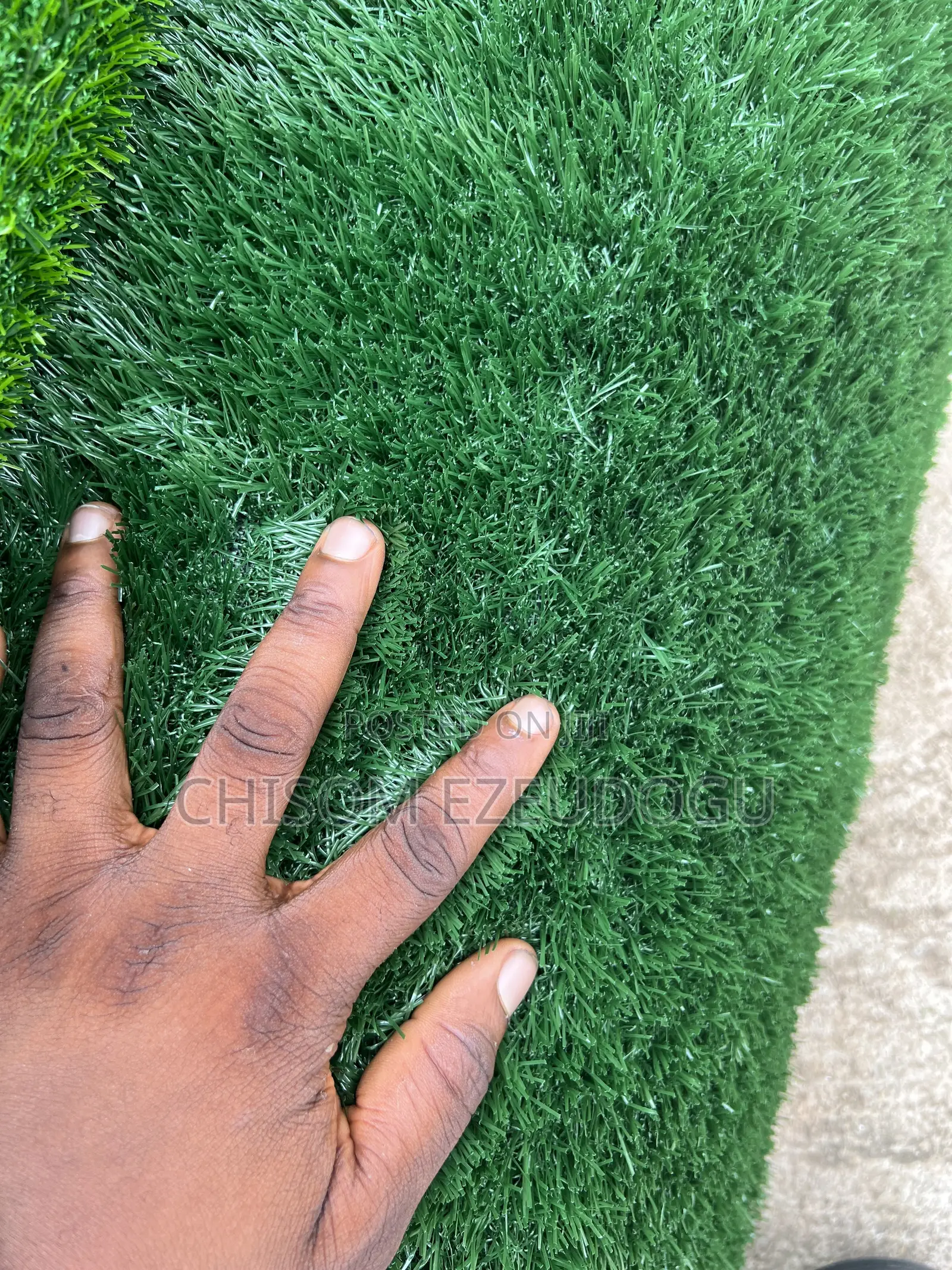 Artificial Grass