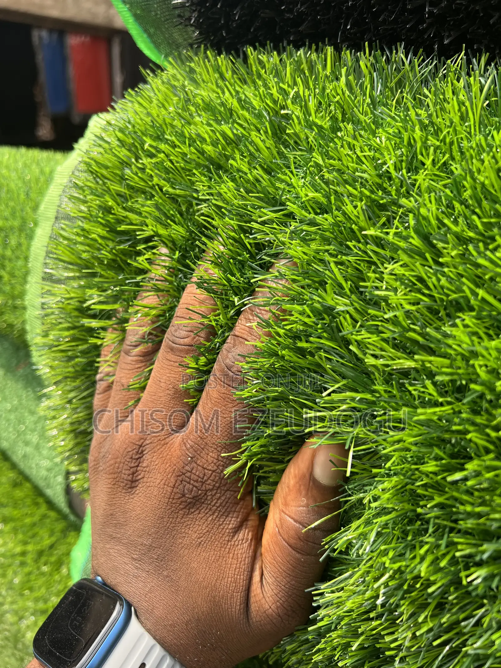 Artificial Grass
