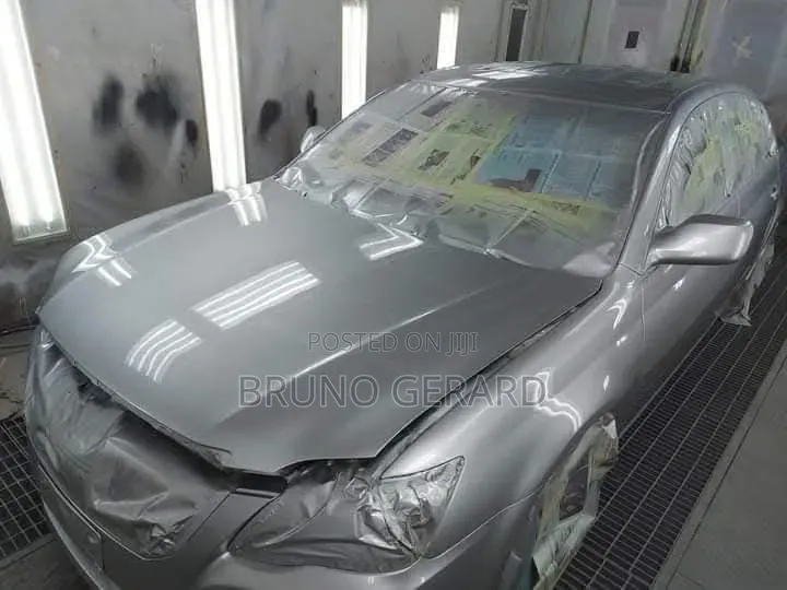 Car Auto Spray