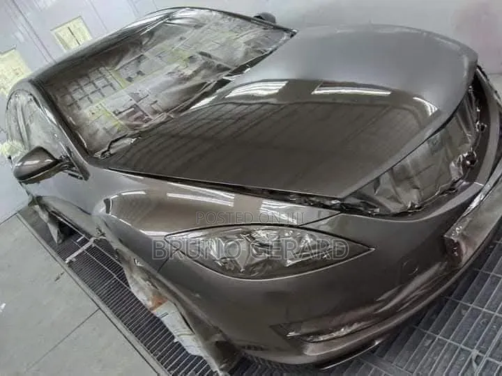 Car Auto Spray