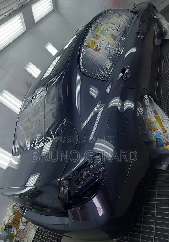 Car Auto Spray