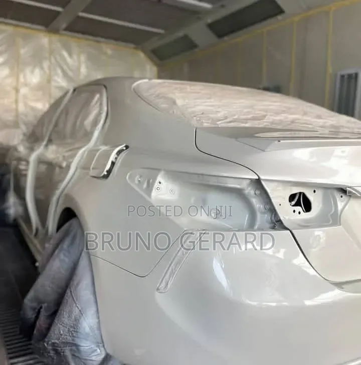 Car Auto Spray