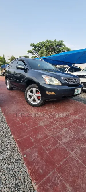Lexus RX 330 2004 Gray