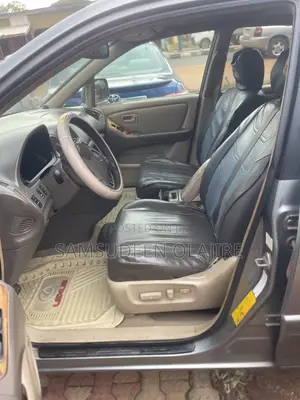 Lexus RX 2004 Gray