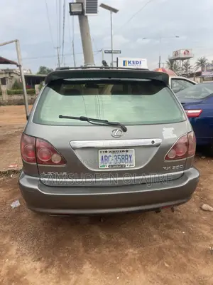 Lexus RX 2004 Gray