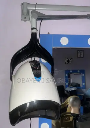 Wall-Mounting Salon Dryer