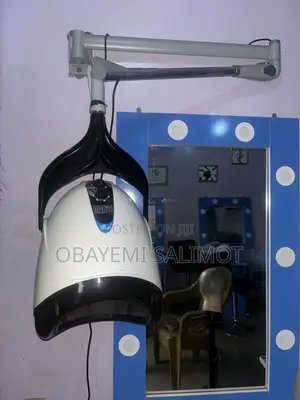 Wall-Mounting Salon Dryer