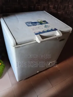Hair Thermocool Chest Freezer