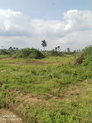 Banana Highland Woji Alesa Link Rd