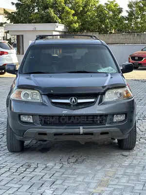Acura MDX Touring 4dr SUV AWD (3.5L 6cyl 5A) 2006 Gray