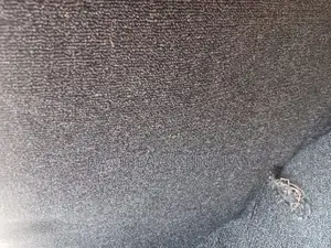 Dark Grey Rug