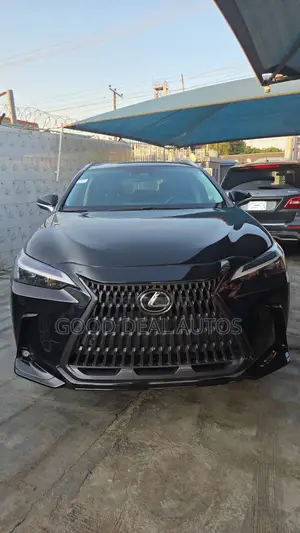Lexus NX 2022 Black