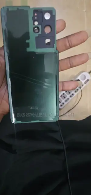 Samsung S21 Ultra Screen With Frame