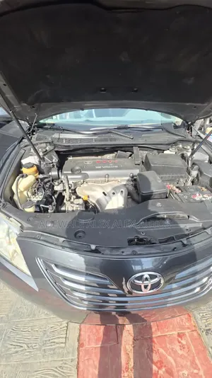 Toyota Camry 2009 Gray