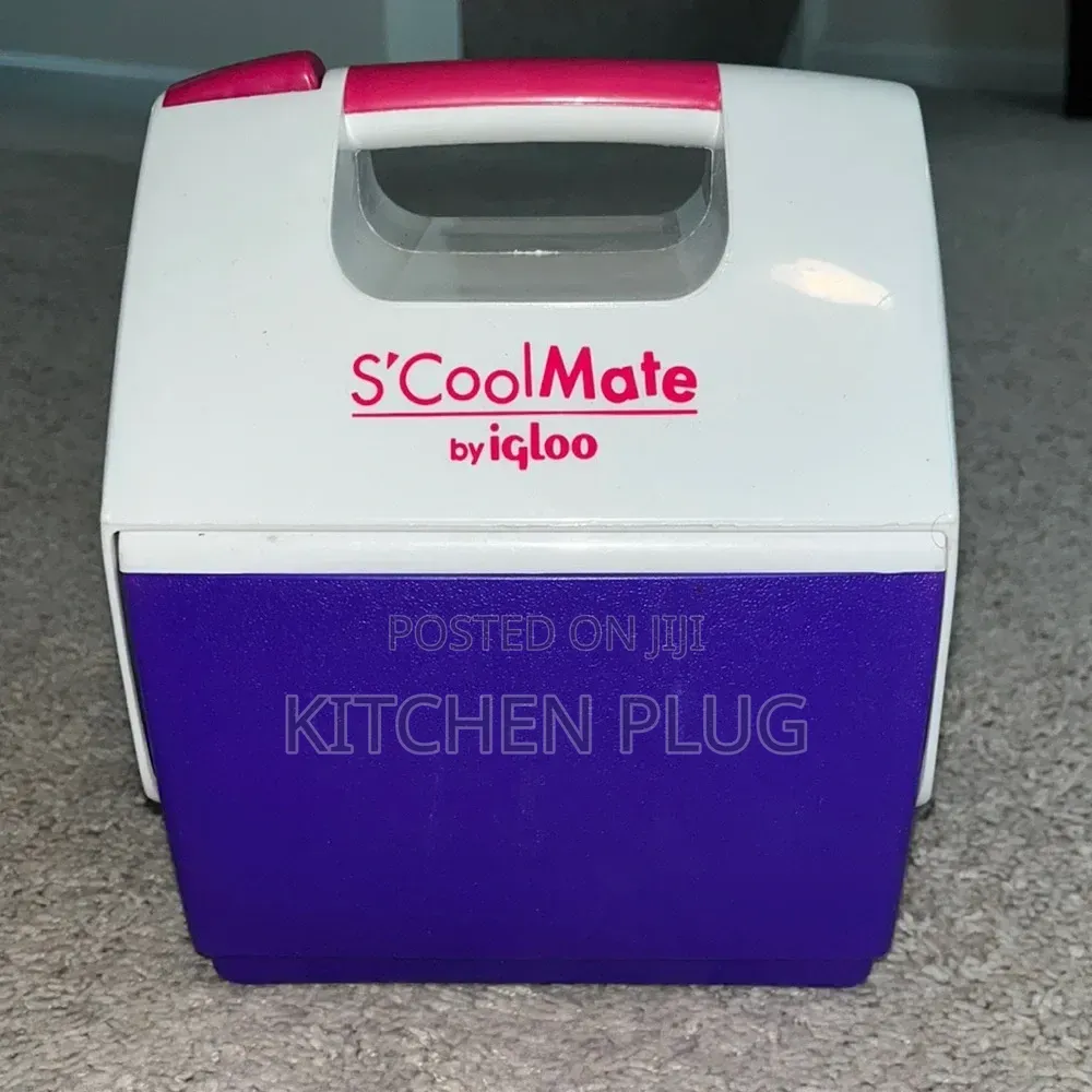 Igloo S'cool Mate Mini Lunch Box
