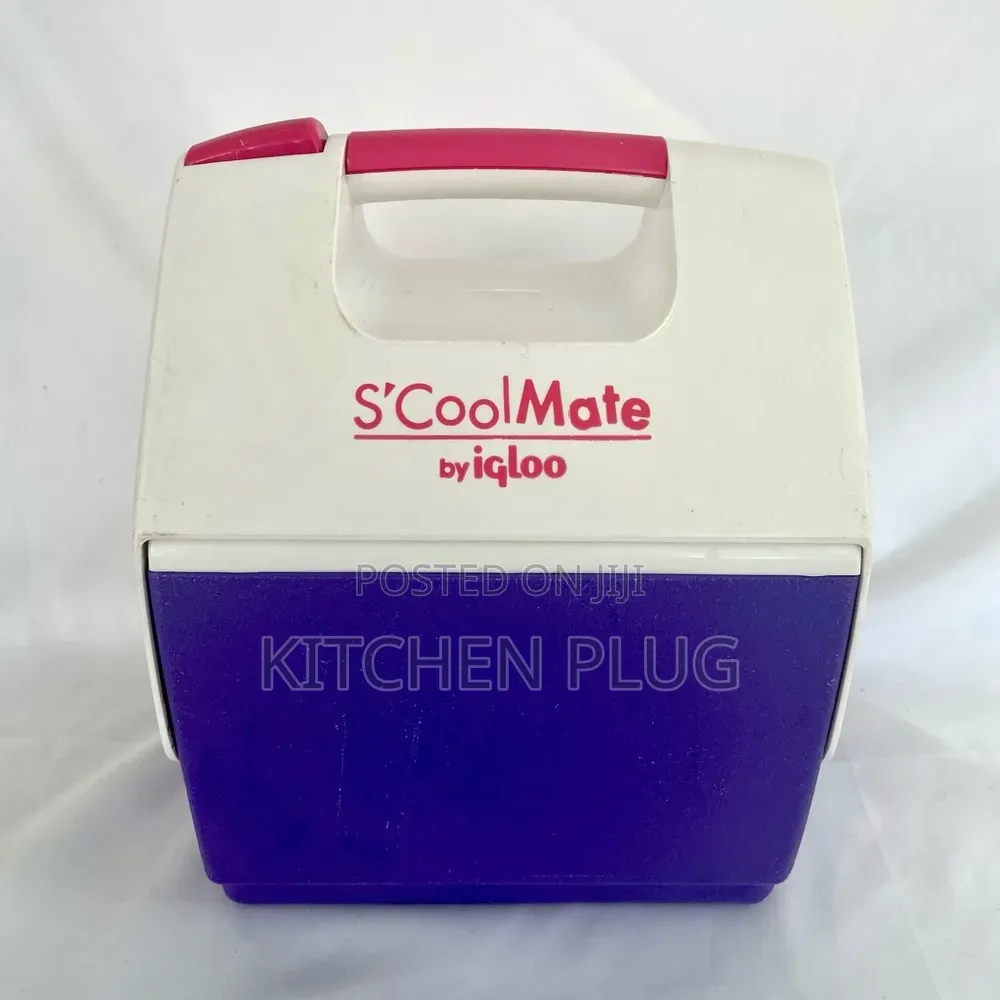 Igloo S'cool Mate Mini Lunch Box