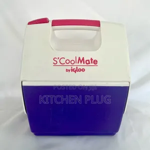 Igloo S'cool Mate Mini Lunch Box