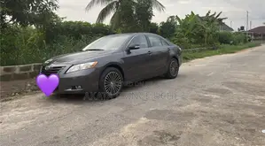 Toyota Camry LE 4dr Sedan (2.4L 4cyl 5A) 2007 Gray