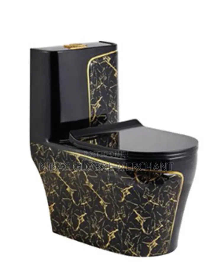 Luxury Ceramic Water Closet