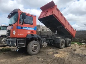 Man Diesel Tipper Truck 2019 Orange