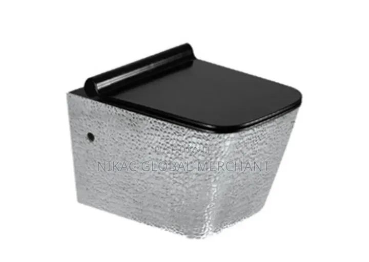 Luxury Ceramic Water Closet