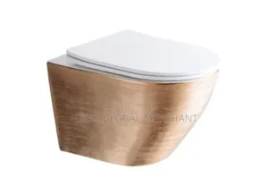 Luxury Ceramic Water Closet