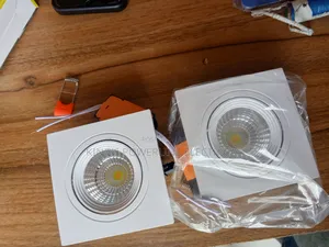 12 Watts Retractable Light