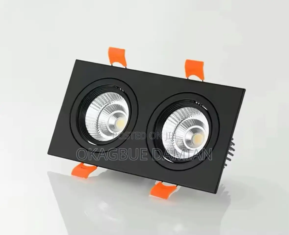 Double Cob Light