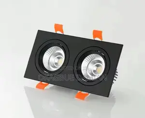 Double Cob Light