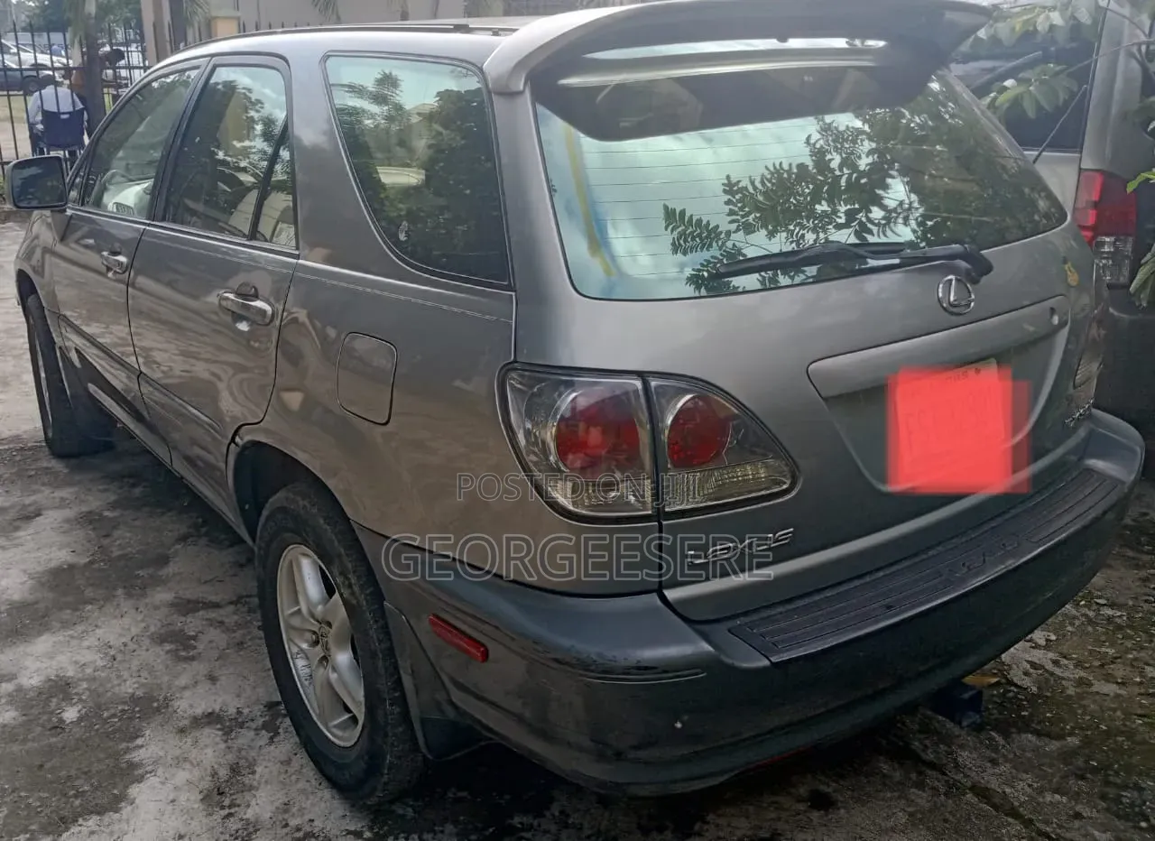 Lexus RX 2003 Gray