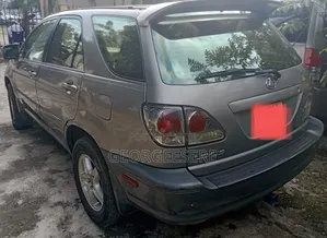 Lexus RX 2003 Gray
