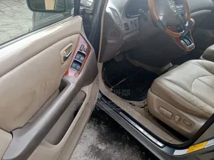 Lexus RX 2003 Gray