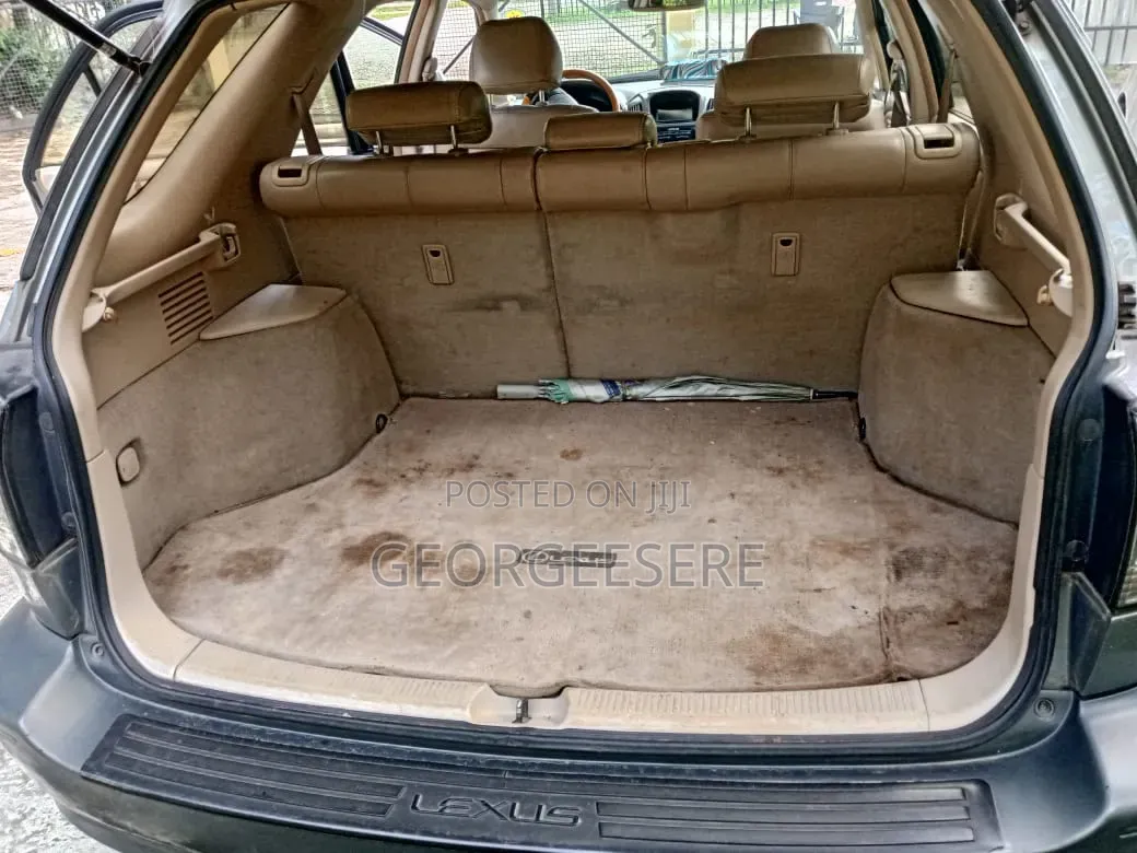 Lexus RX 2003 Gray