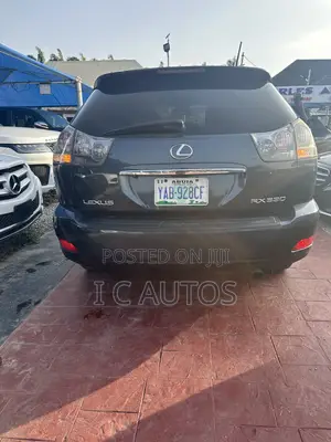Lexus RX 330 2004 Gray