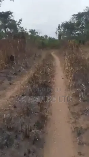 98 Plots of Land Fully Surveyed and Registered