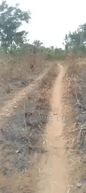 98 Plots of Land Fully Surveyed and Registered