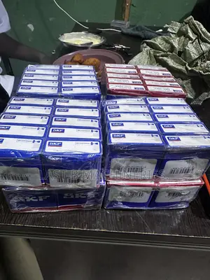 SKF Bearing
