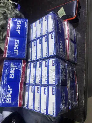 SKF Bearing