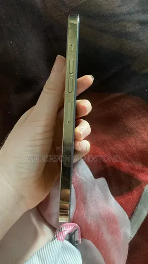 Apple iPhone 13 Pro Max 256 GB Gray
