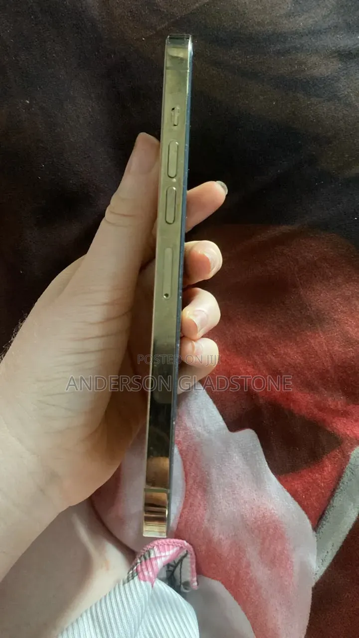 Apple iPhone 13 Pro Max 256 GB Gray