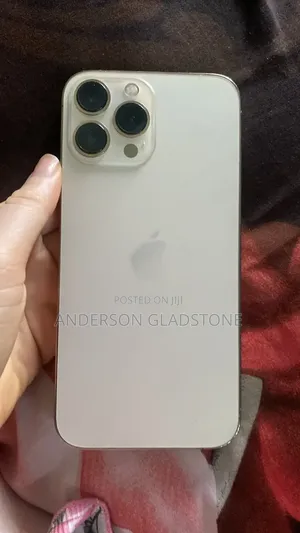Apple iPhone 13 Pro Max 256 GB Gray